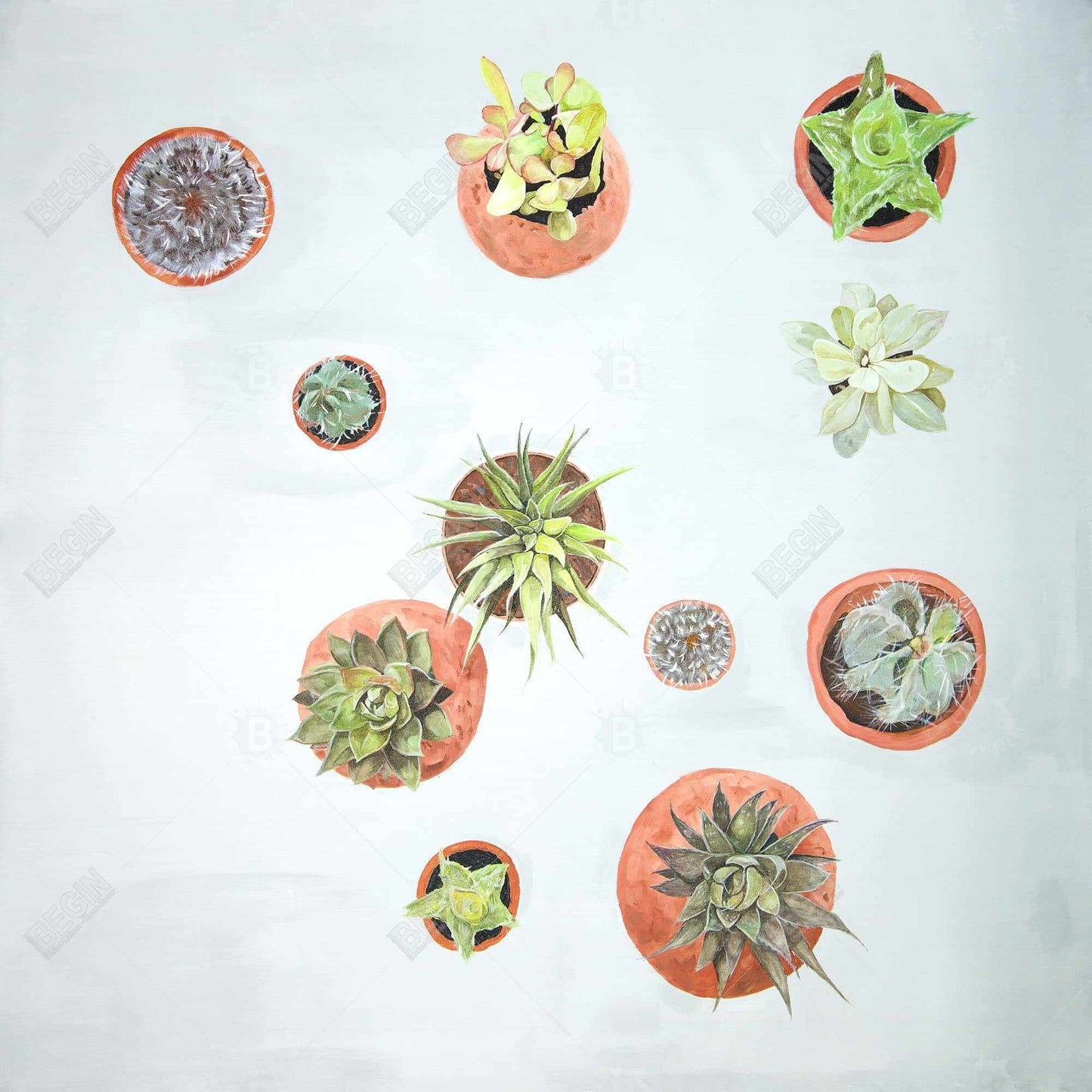 Cactus Plants Exotic Canvas | Floral & Botanical Home Decor