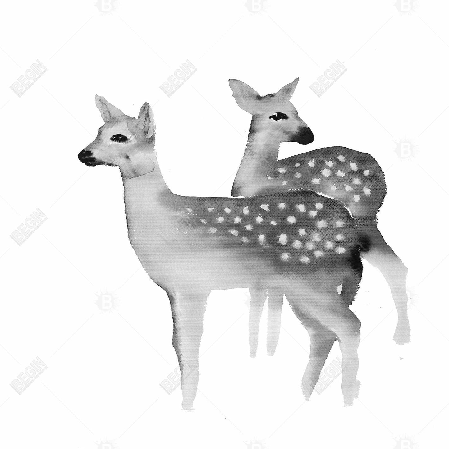 White Animals Rustic Canvas - Faon Black and White Home Decor