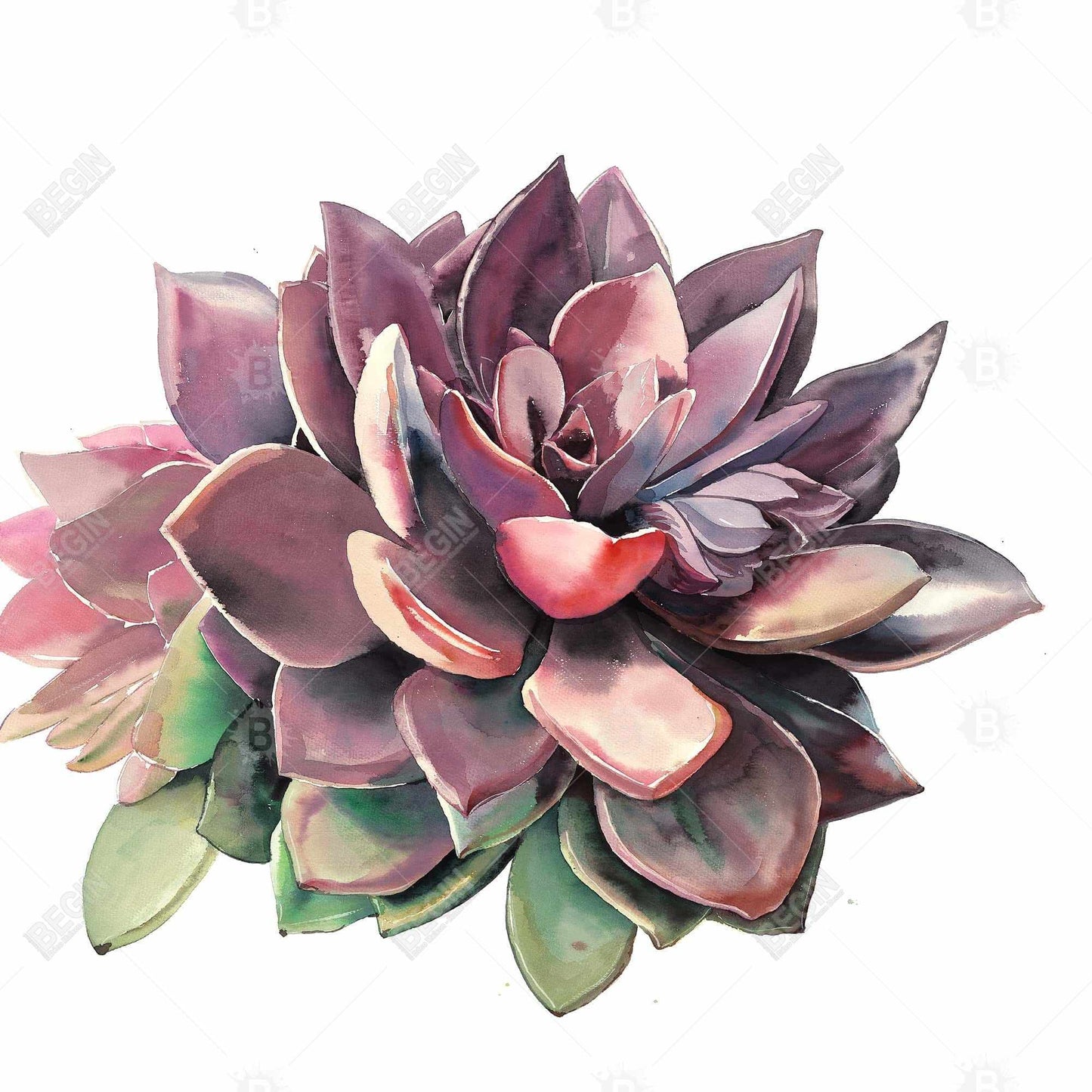 Succulent Purple Floral Canvas | Botanical Bedroom Decor