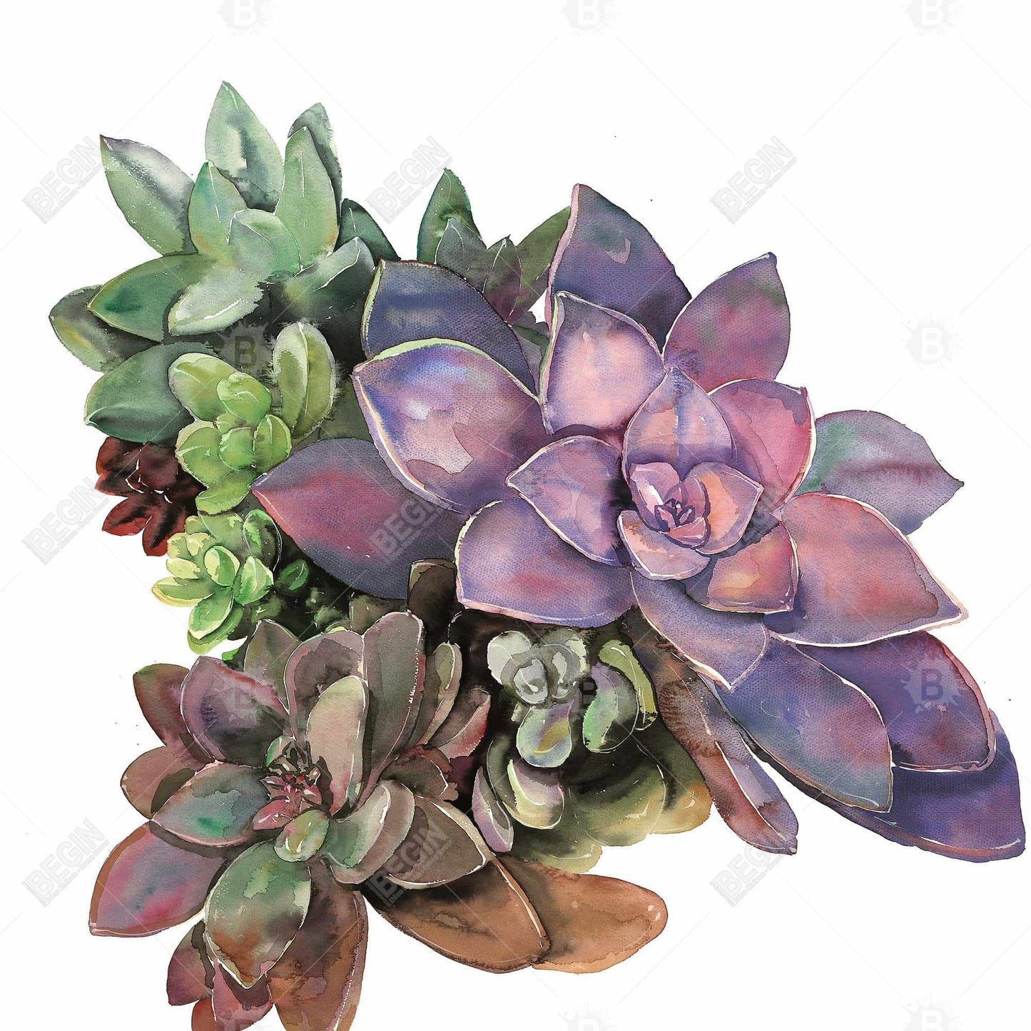Toile botanique avec plantes succulentes | Décoration murale moderne pour chambre à coucher