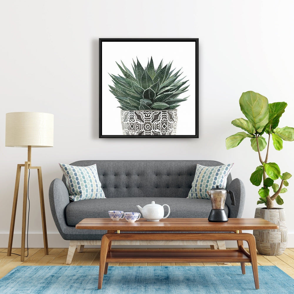 White Floral & Botanical Canvas - Zebra Plant Succulent Decor