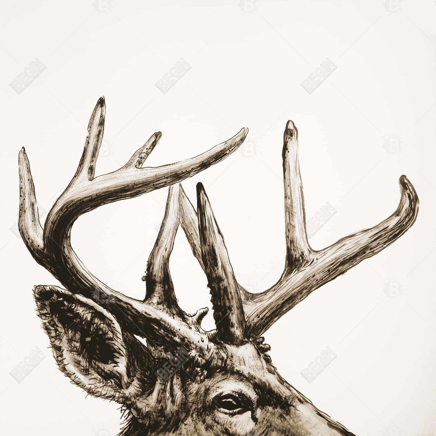 Roe Deer Plume Sepia Canvas | Living Room Wall Art Decor