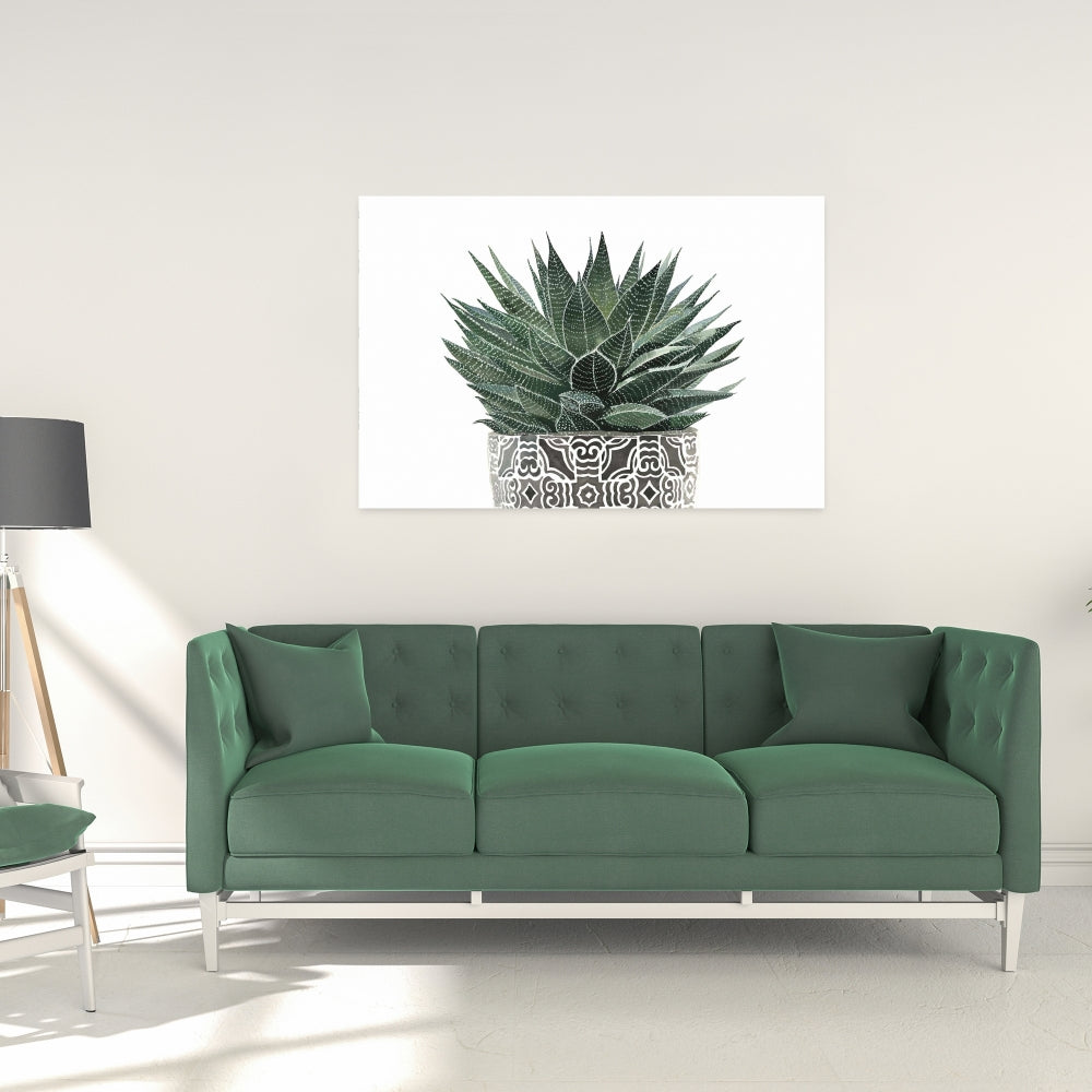 Zebra Plant Succulent Canvas - Botanical Bedroom Wall Art