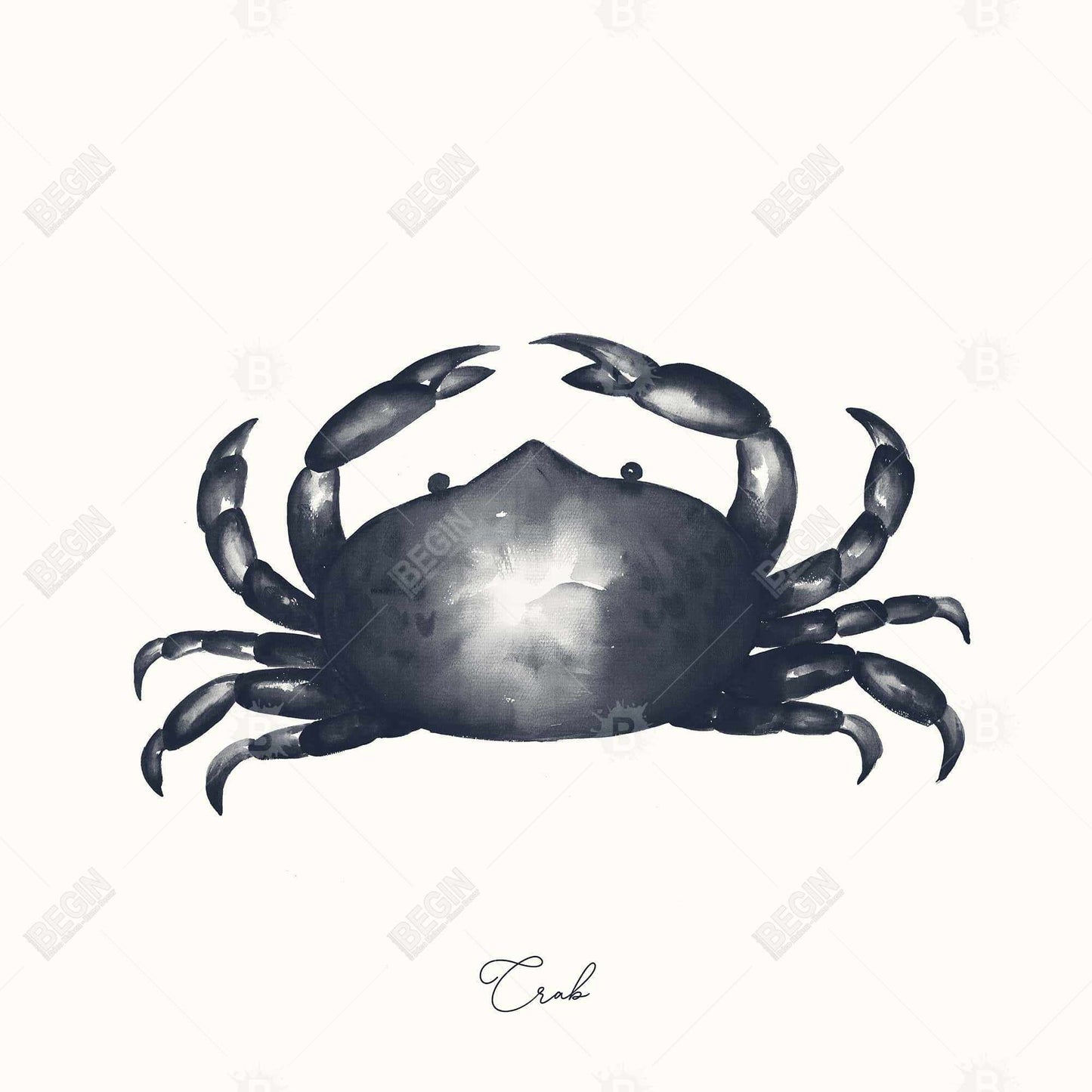 Blue Crab Canvas | Bathroom Decor | Aquatic Animal Art