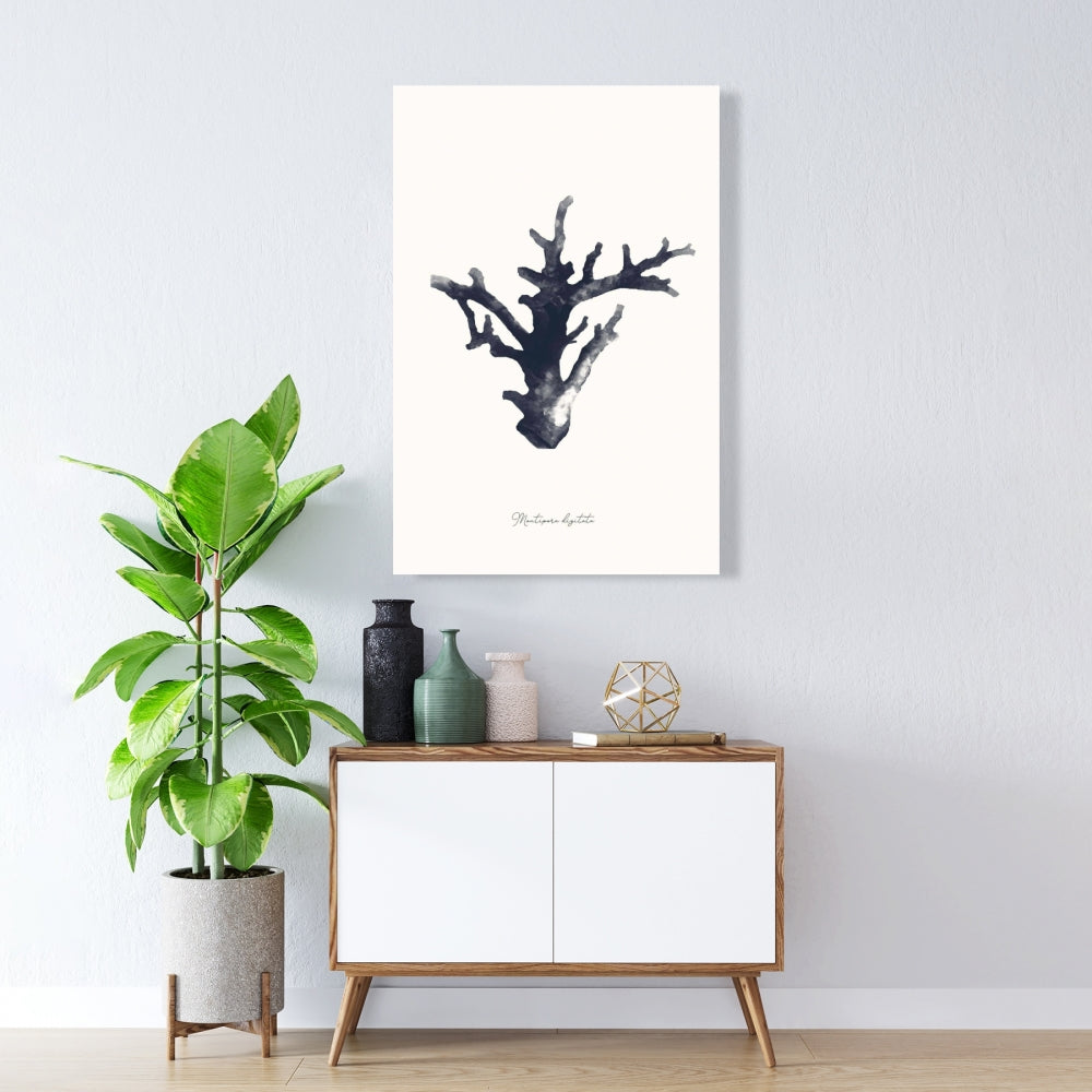 Marine Coastal Blue Canvas | Montipora Digitata Wall Art