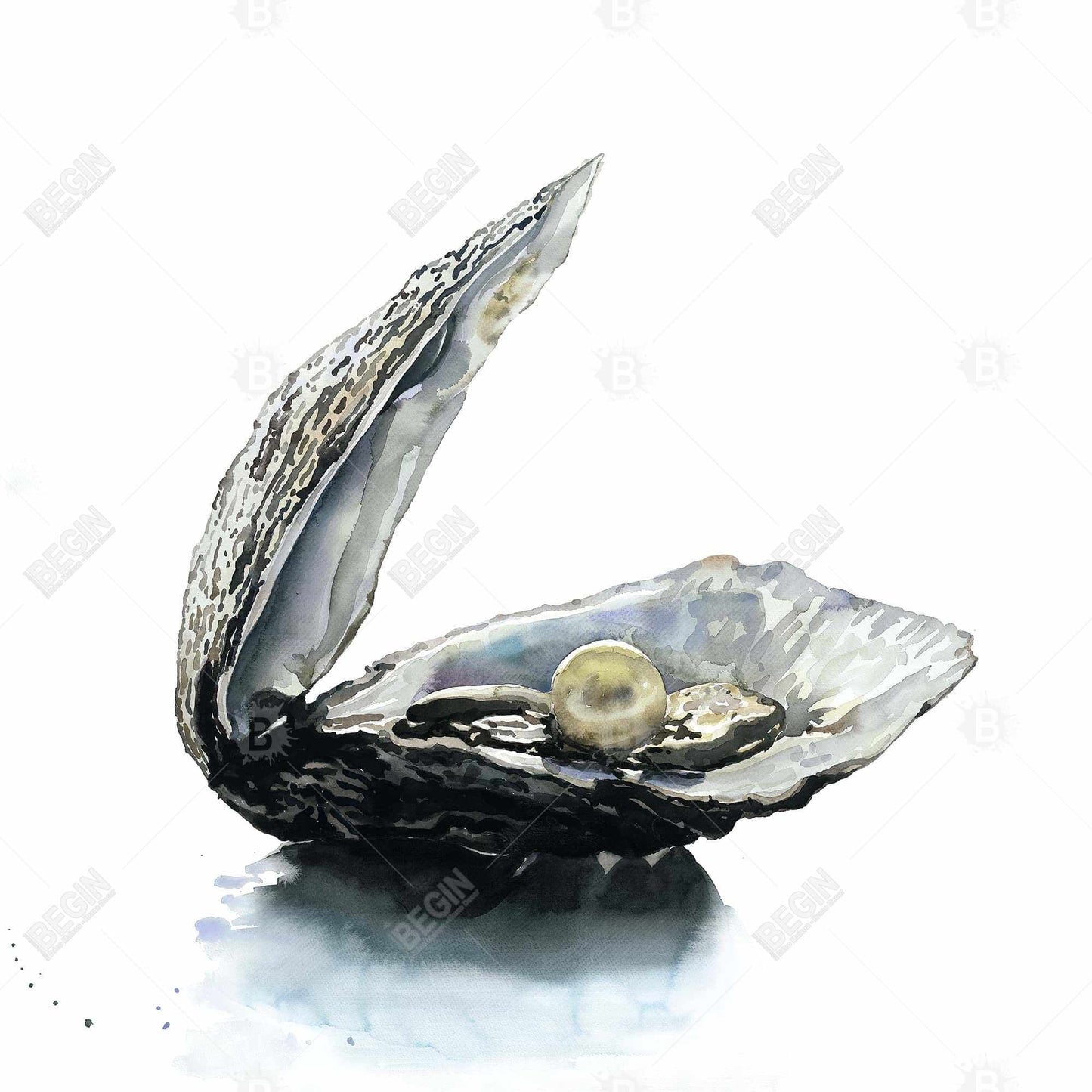 Pearl Oyster Blue Coastal Canvas - Aquatic Home Decor Art