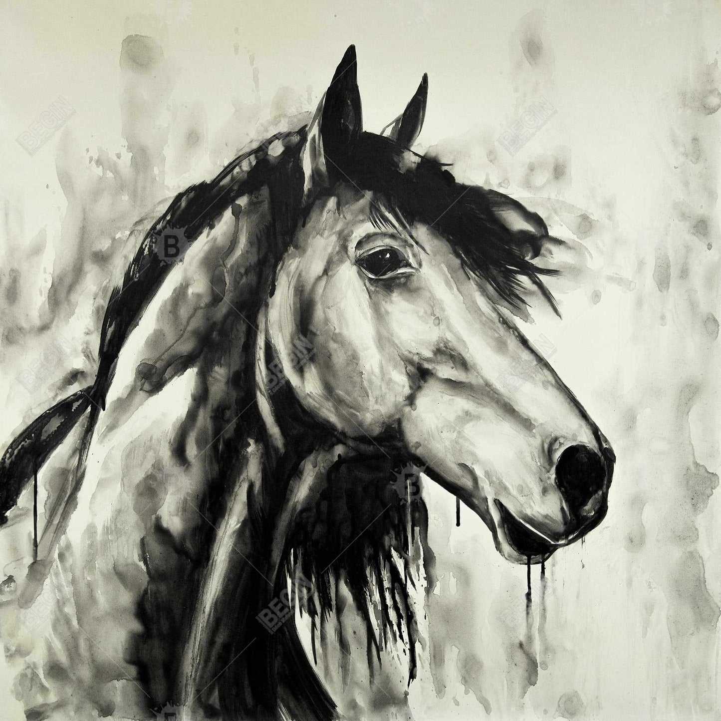 Spirit Horse Canvas - Farm Animal Livingroom Decor | Home Art