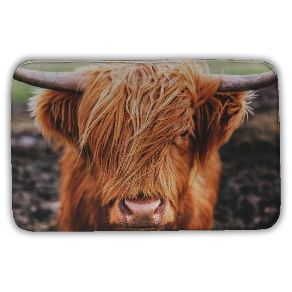 Brown Rustic Highland Cow Canvas - Home Decor Wall Art