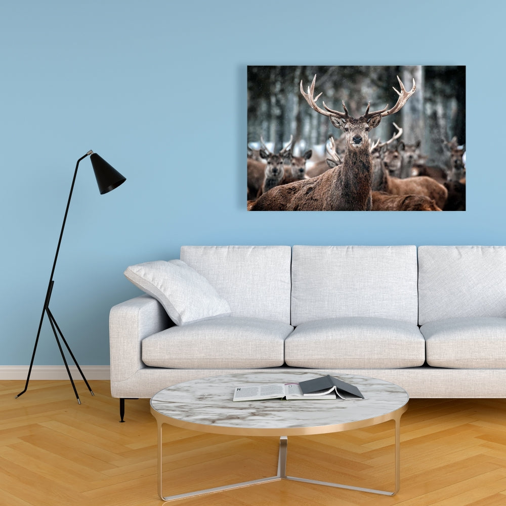 Rustic Stags Canvas - Farm Animal Wall Art for Home Decor