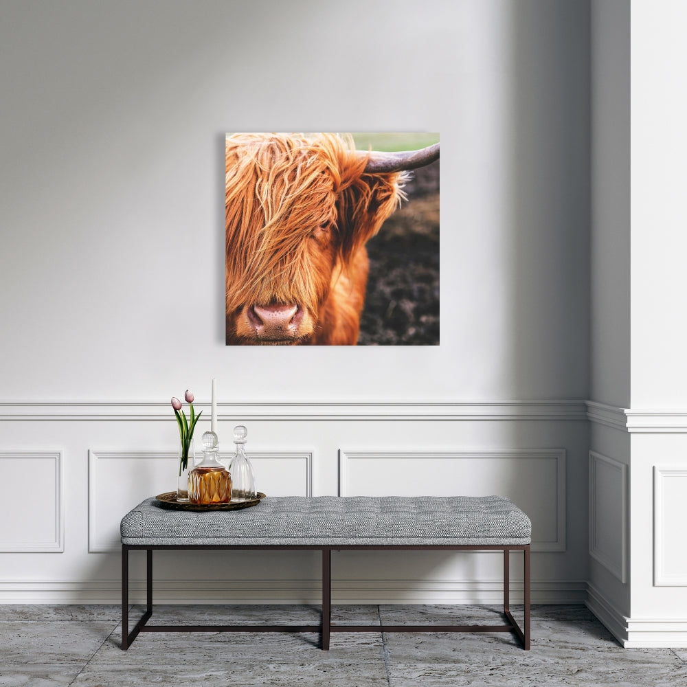 Brown Rustic Highland Cow Canvas - Home Decor Wall Art