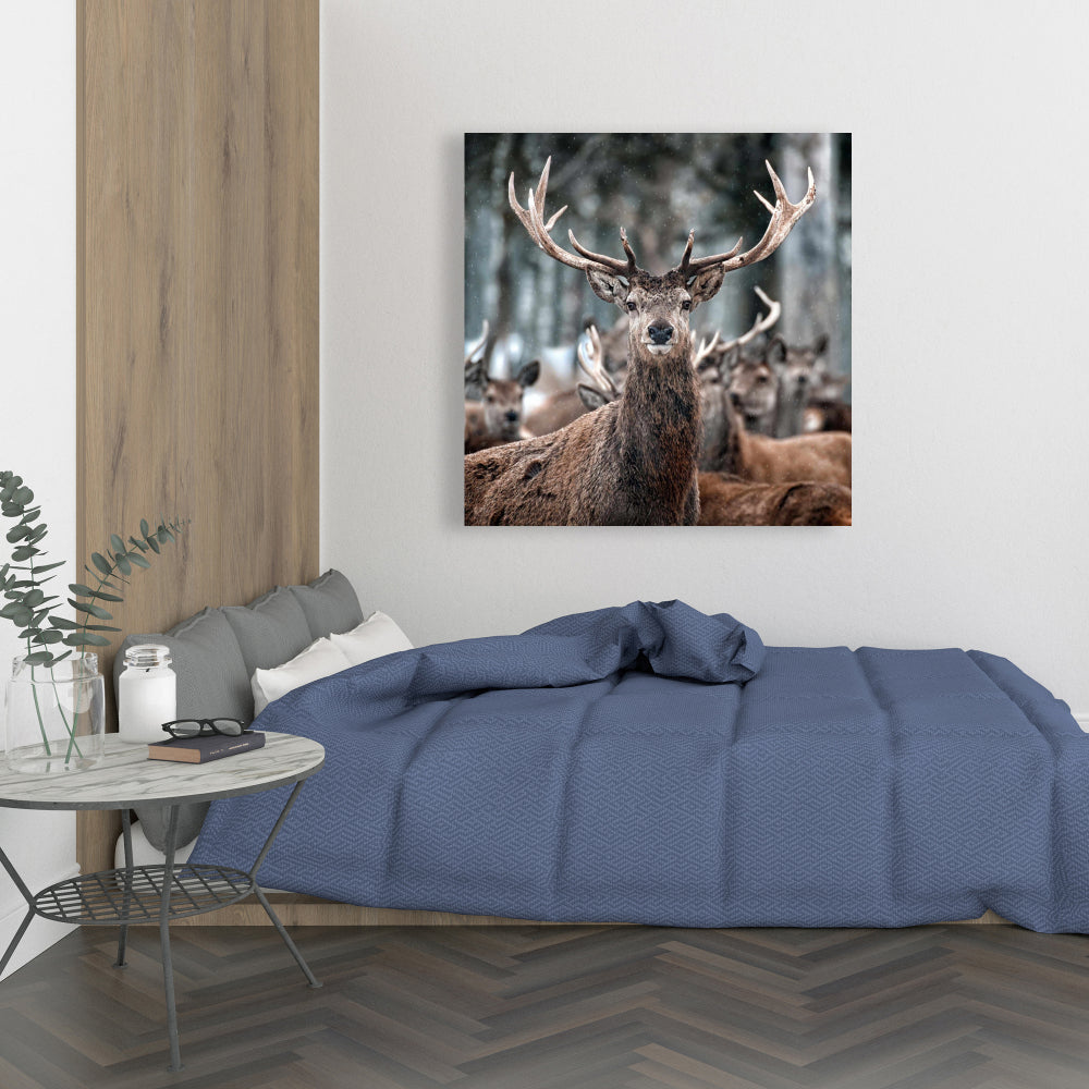 Rustic Stags Canvas - Farm Animal Wall Art for Home Decor