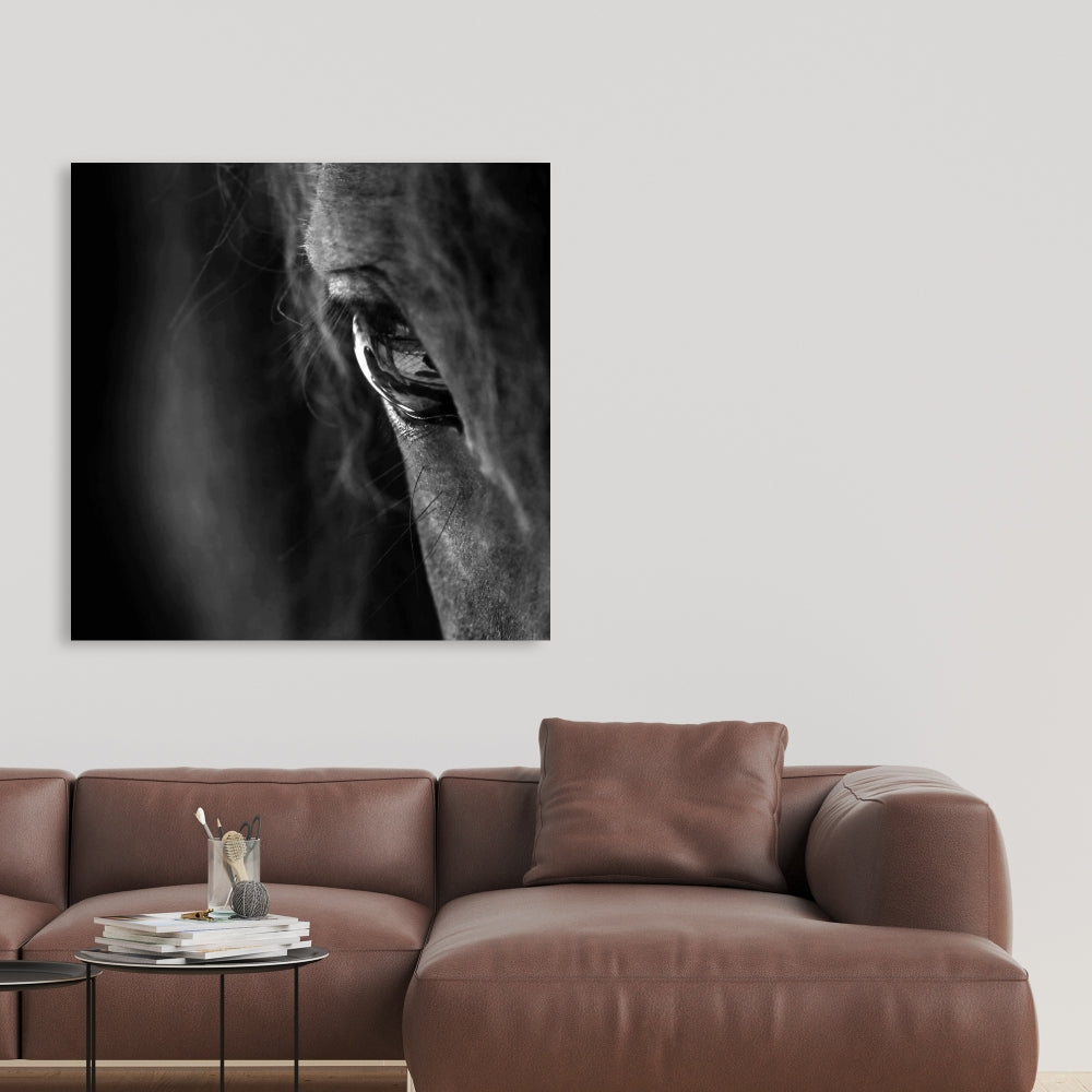 Black Horse Canvas | Monochrome Animal Art for Home Decor