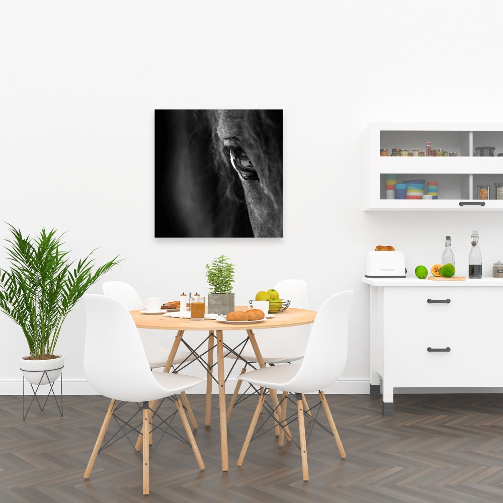 Black Horse Canvas | Monochrome Animal Art for Home Decor