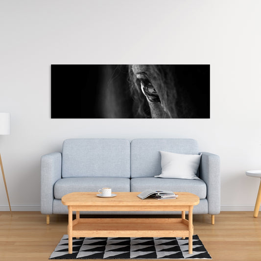 Black Horse Canvas | Monochrome Animal Art for Home Decor