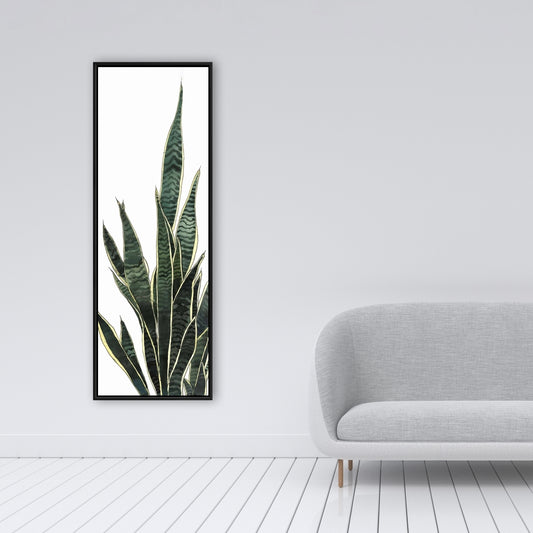 Snake Plant Botanical Canvas - Exotic Home Decor Wall Art