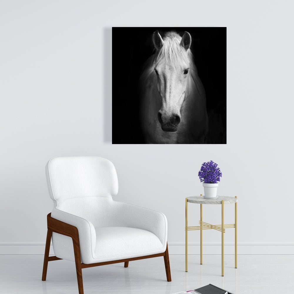 Monochrome Horse Canvas - Farm Animal Decor for Bedroom