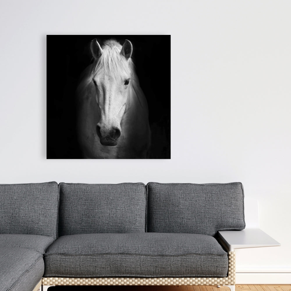 Monochrome Horse Canvas - Farm Animal Decor for Bedroom