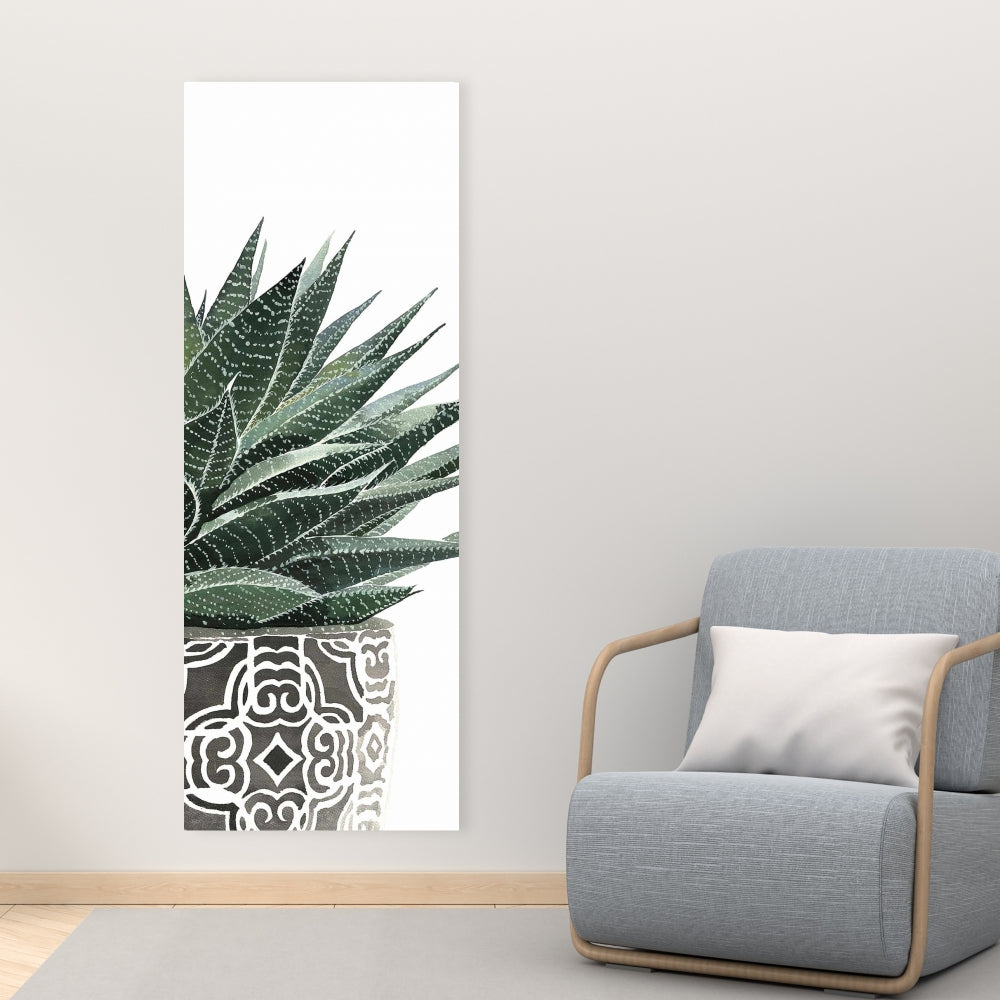 Zebra Plant Succulent Canvas - Botanical Bedroom Wall Art