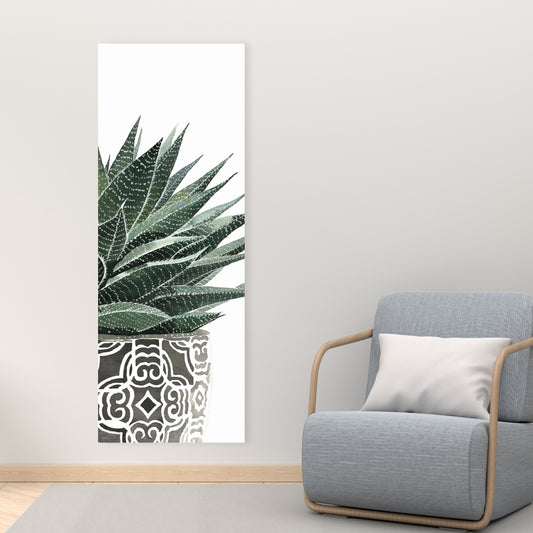 Zebra Plant Succulent Canvas - Botanical Bedroom Wall Art