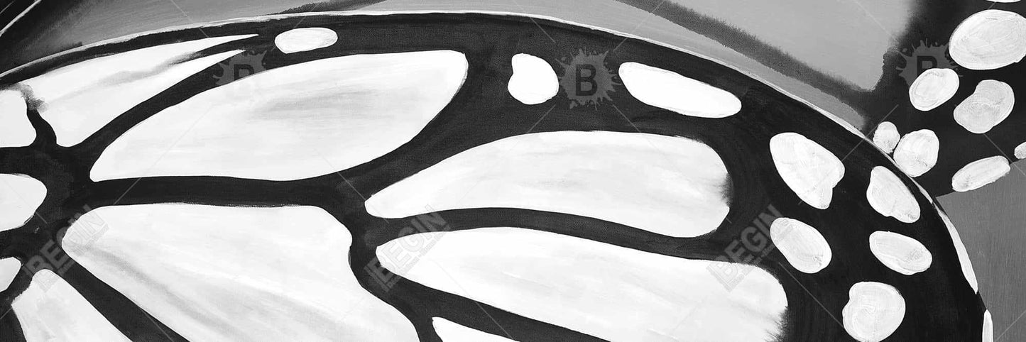 Butterfly Wings Closeup Canvas - Monochrome White Wall Art