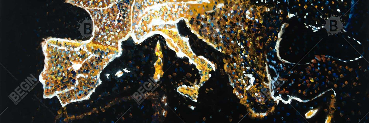 European Continent Galaxy Canvas - Earth Black Living Room Decor
