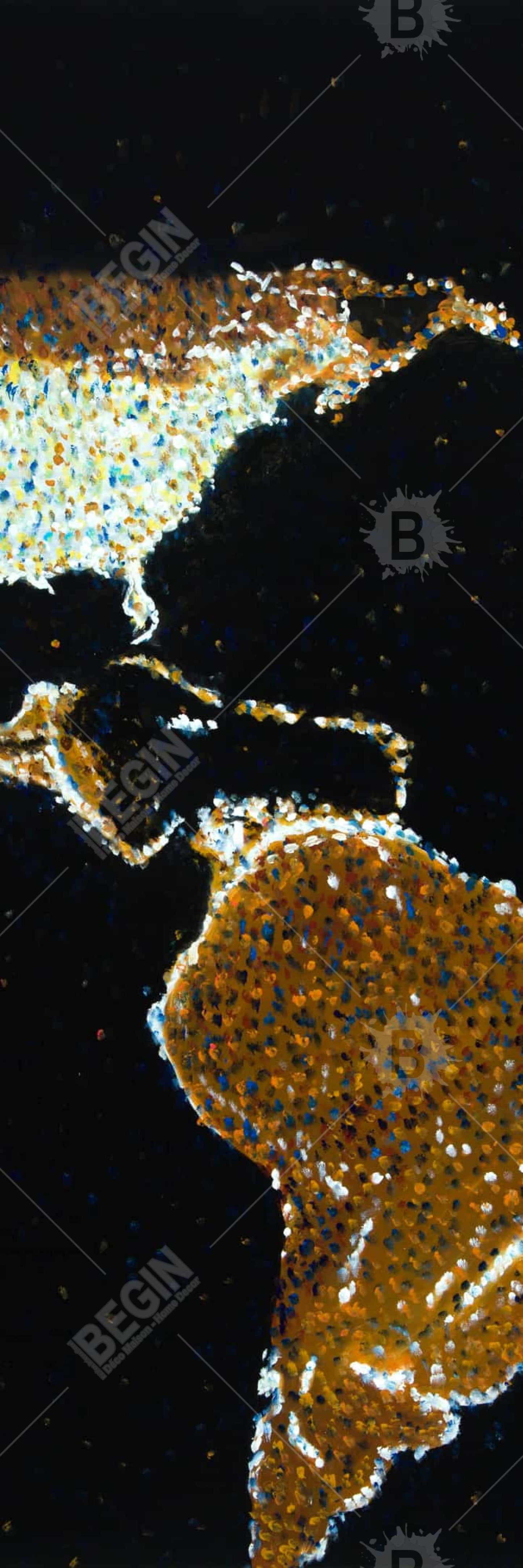 American Continent at Night Canvas | Earth & Galaxy Decor