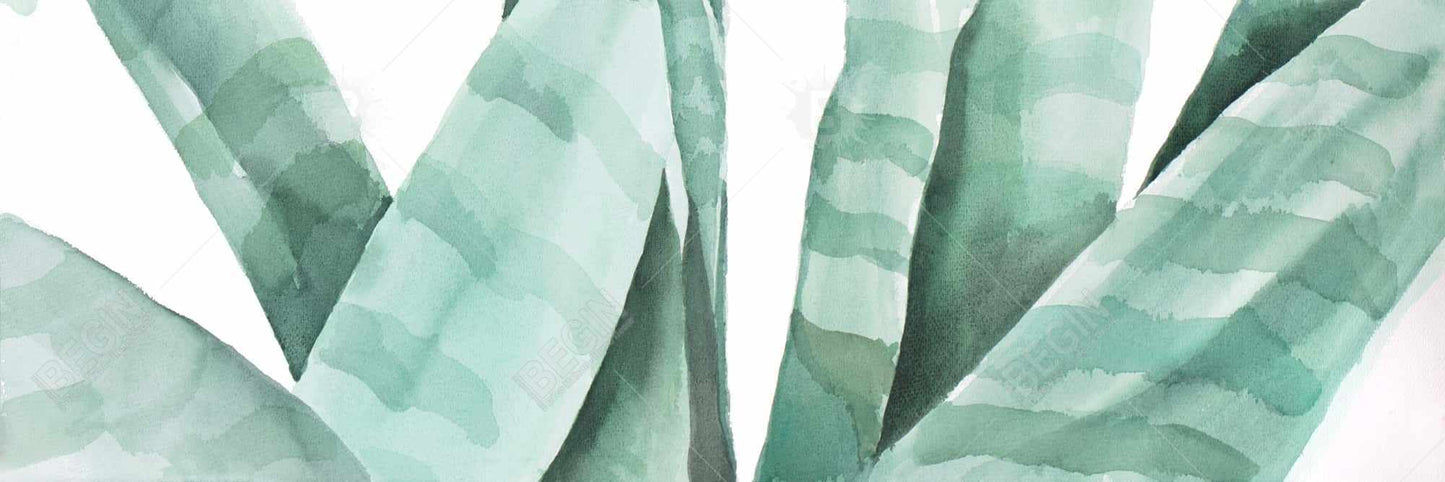 White Botanical Exotic Framed Canvas - Watercolor Desert Plant