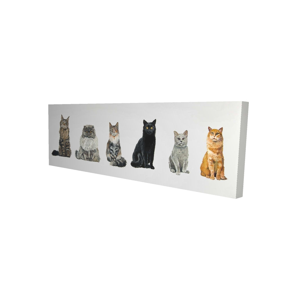 16"x48"