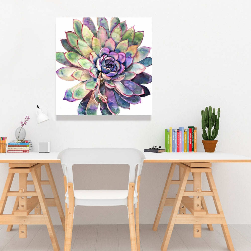 Multicolored Succulent Canvas | Exotic Botanical Bedroom Decor