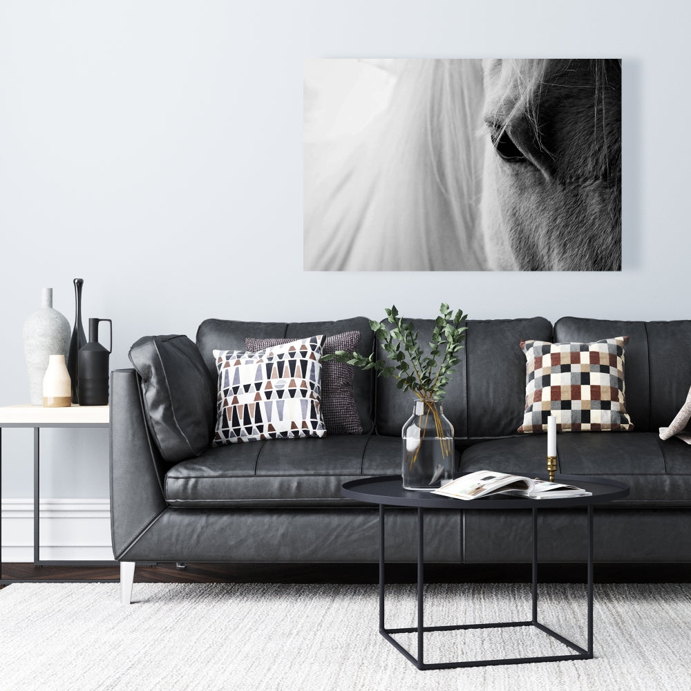 White Horse Eye Canvas | Farm Animal Gray Decor Wall Art