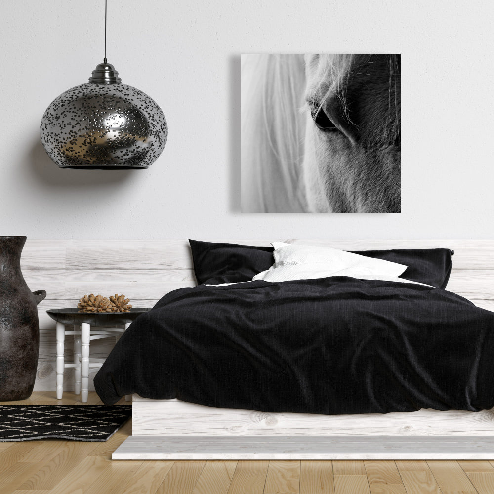White Horse Eye Canvas | Farm Animal Gray Decor Wall Art