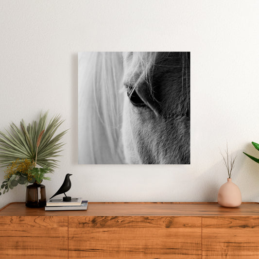 White Horse Eye Canvas | Farm Animal Gray Decor Wall Art