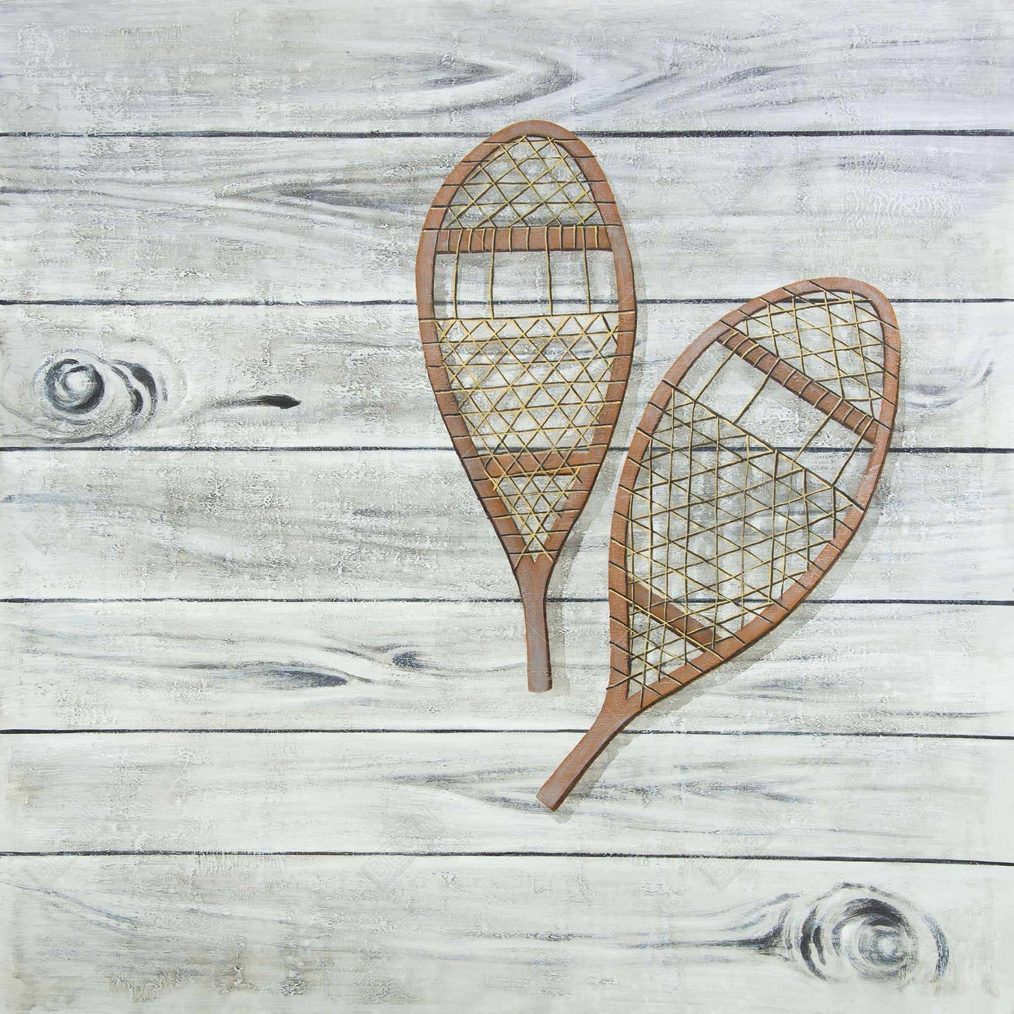 Rustic Brown Snowshoes Canvas - Perfect Living Room Decor