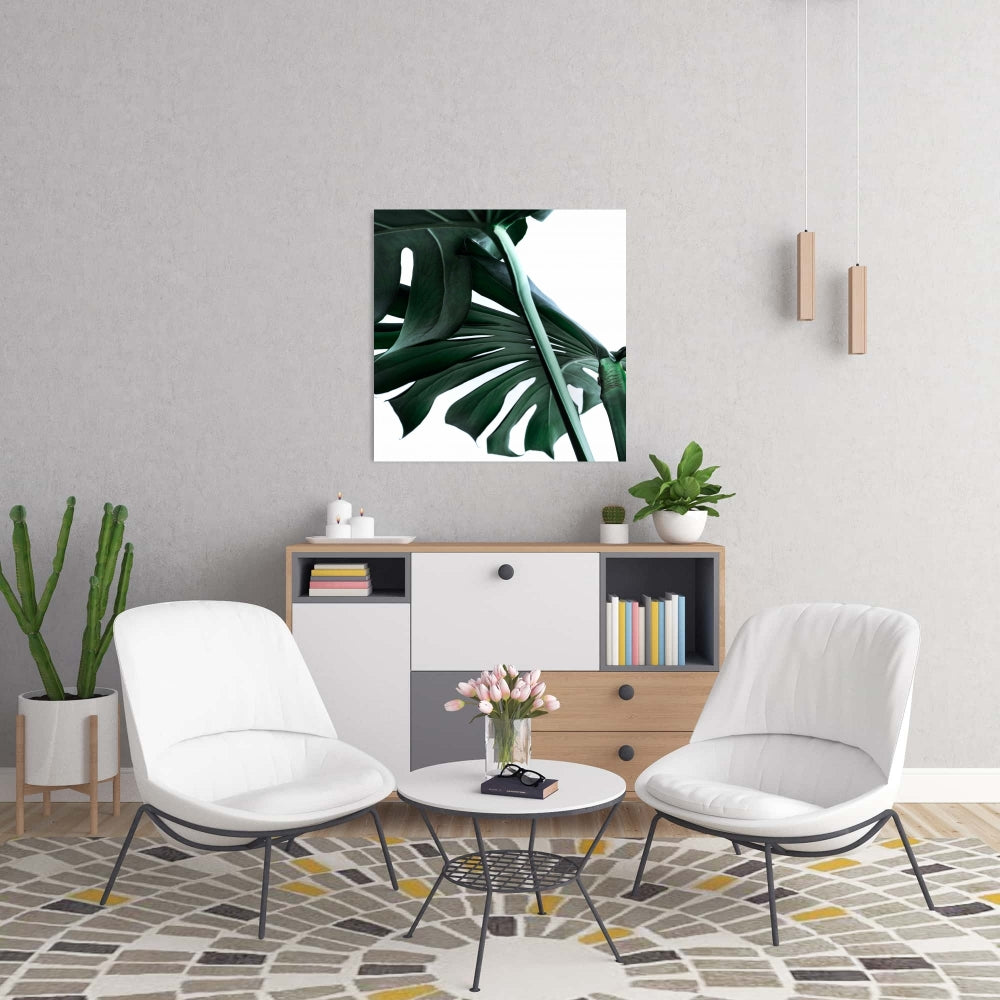 Exotic Monstera Deliciosa Canvas - Green Bedroom Home Decor