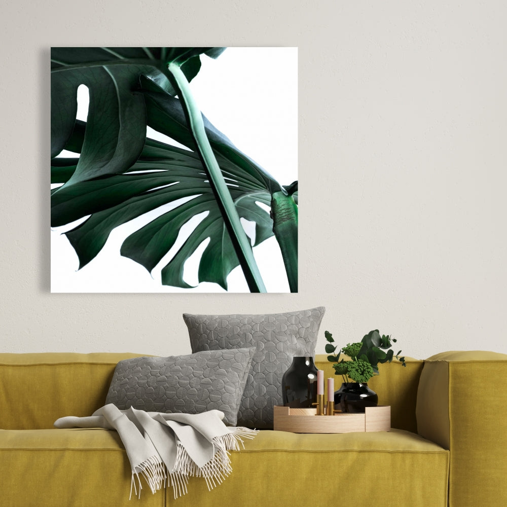 Exotic Monstera Deliciosa Canvas - Green Bedroom Home Decor