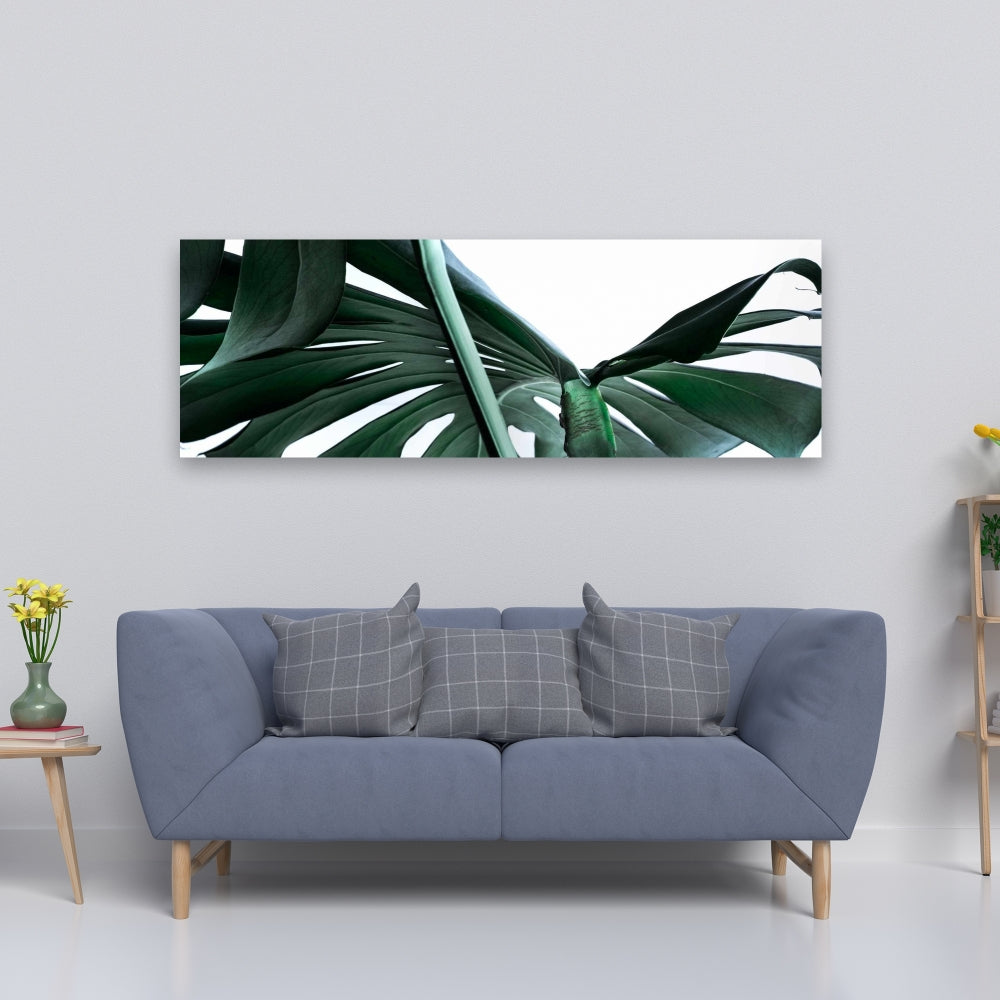 Exotic Monstera Deliciosa Canvas - Green Bedroom Home Decor