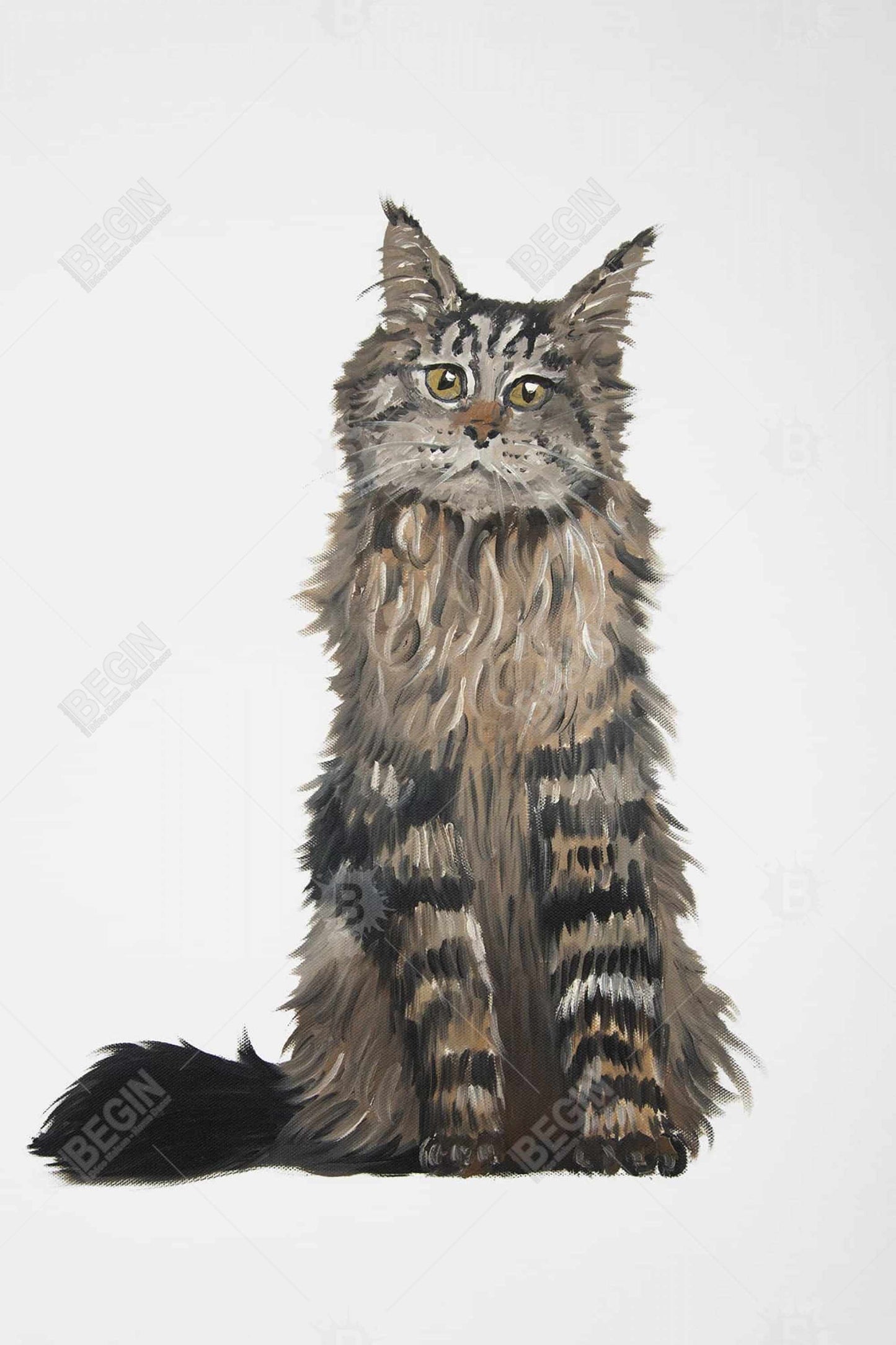 Maine Coon Cat Canvas | Brown Pets Animals Framed Wall Art