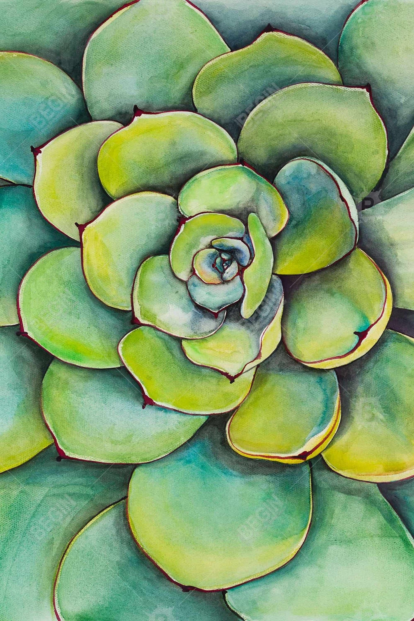 Watercolor Succulent Plant Canvas | Cactus Green Bedroom Decor