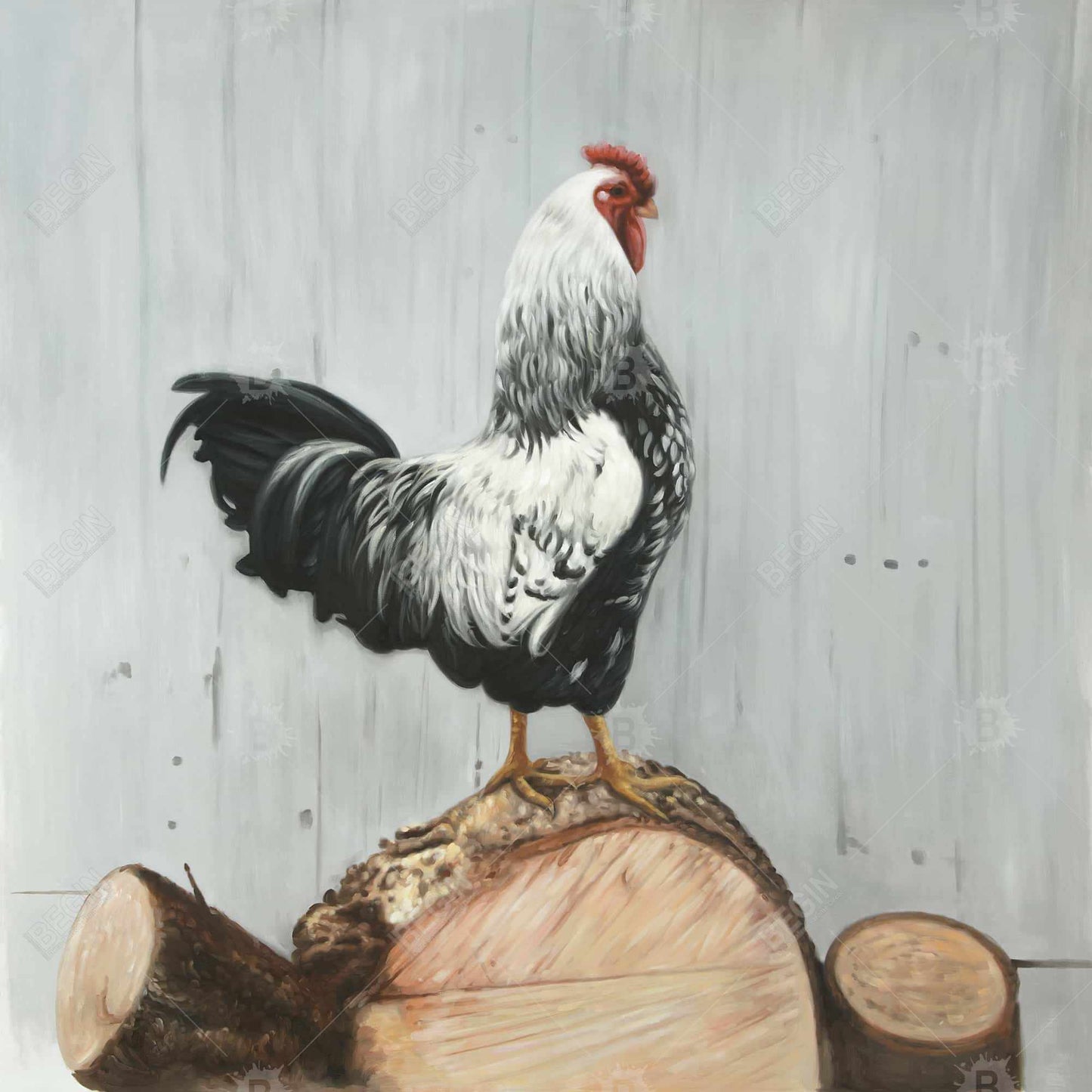 Wyandotte Rooster Canvas | White Framed Art for Home Decor