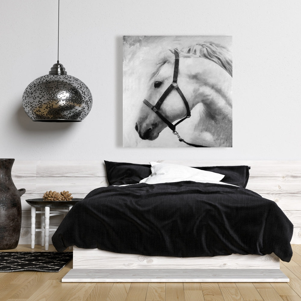 Gray Horse Canvas - Darius the Horse | Bedroom Wall Art Decor
