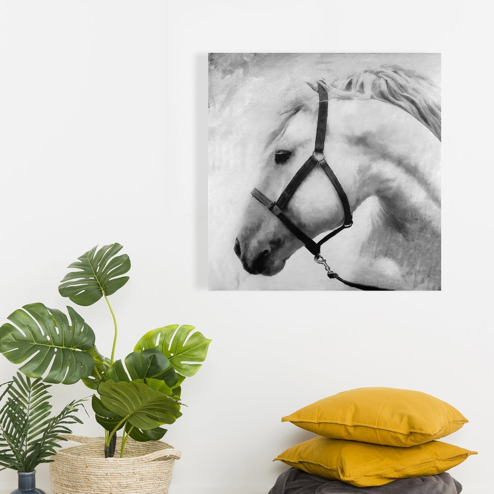 Gray Horse Canvas - Darius the Horse | Bedroom Wall Art Decor
