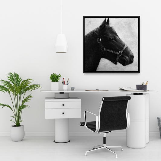 Toile « Galopin le cheval » | Décoration encadrée d'animaux gris