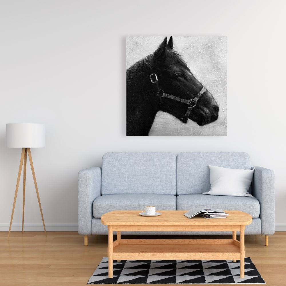 Gallopin the Horse Gray Canvas - Farm Animal Bedroom Decor
