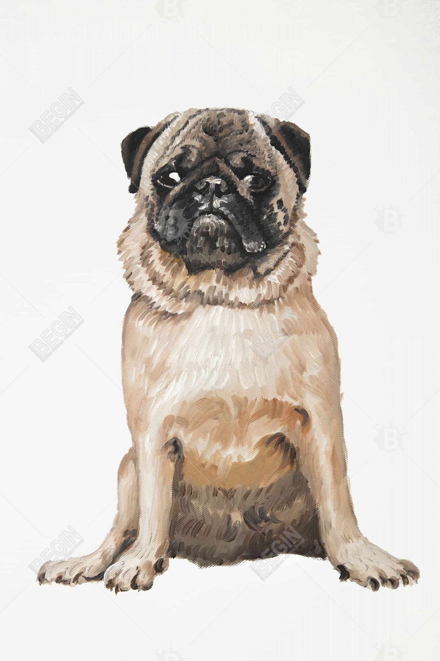 Pug Brown Canvas Art - Illustrative Animal Home Decor