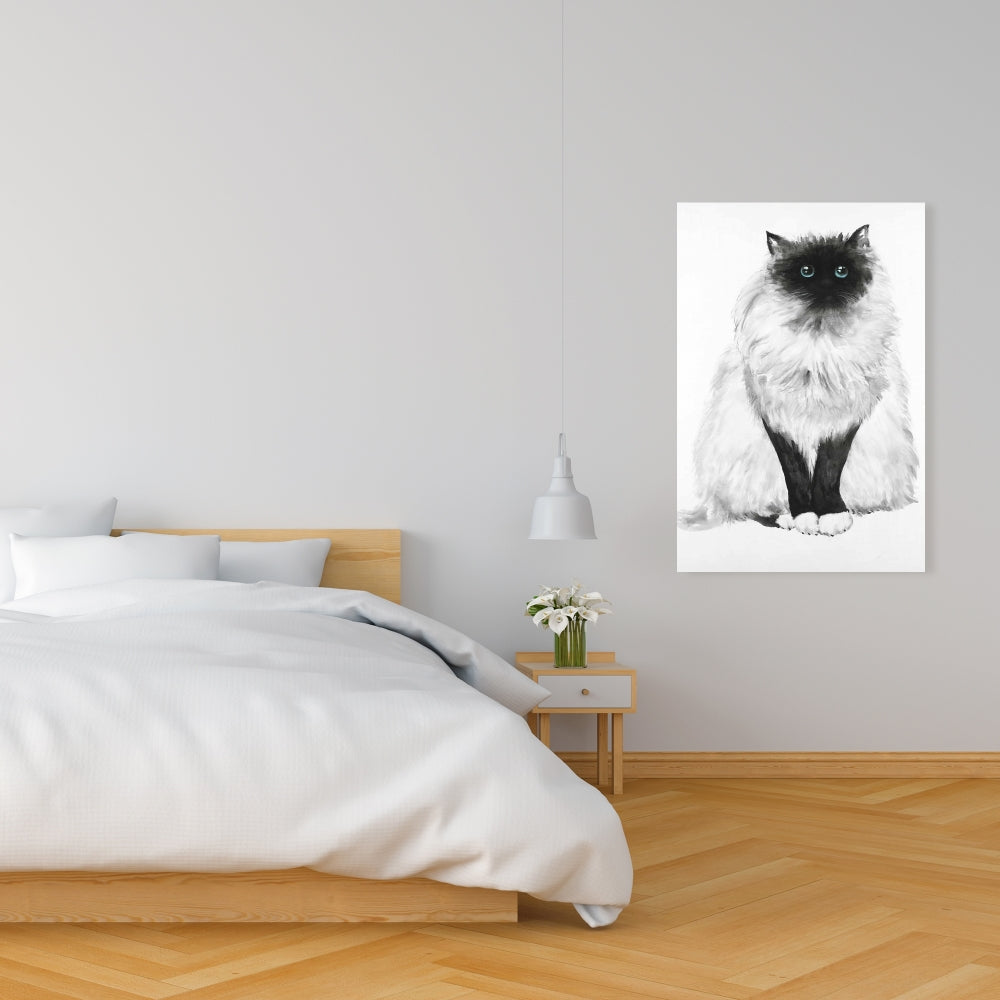 Blue Eyes Fluffy Siamese Cat Canvas | Minimalist Home Decor