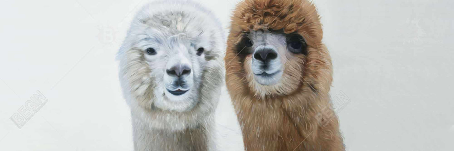 Décoration rustique de ferme | Toile encadrée « Deux lamas » pour chambre