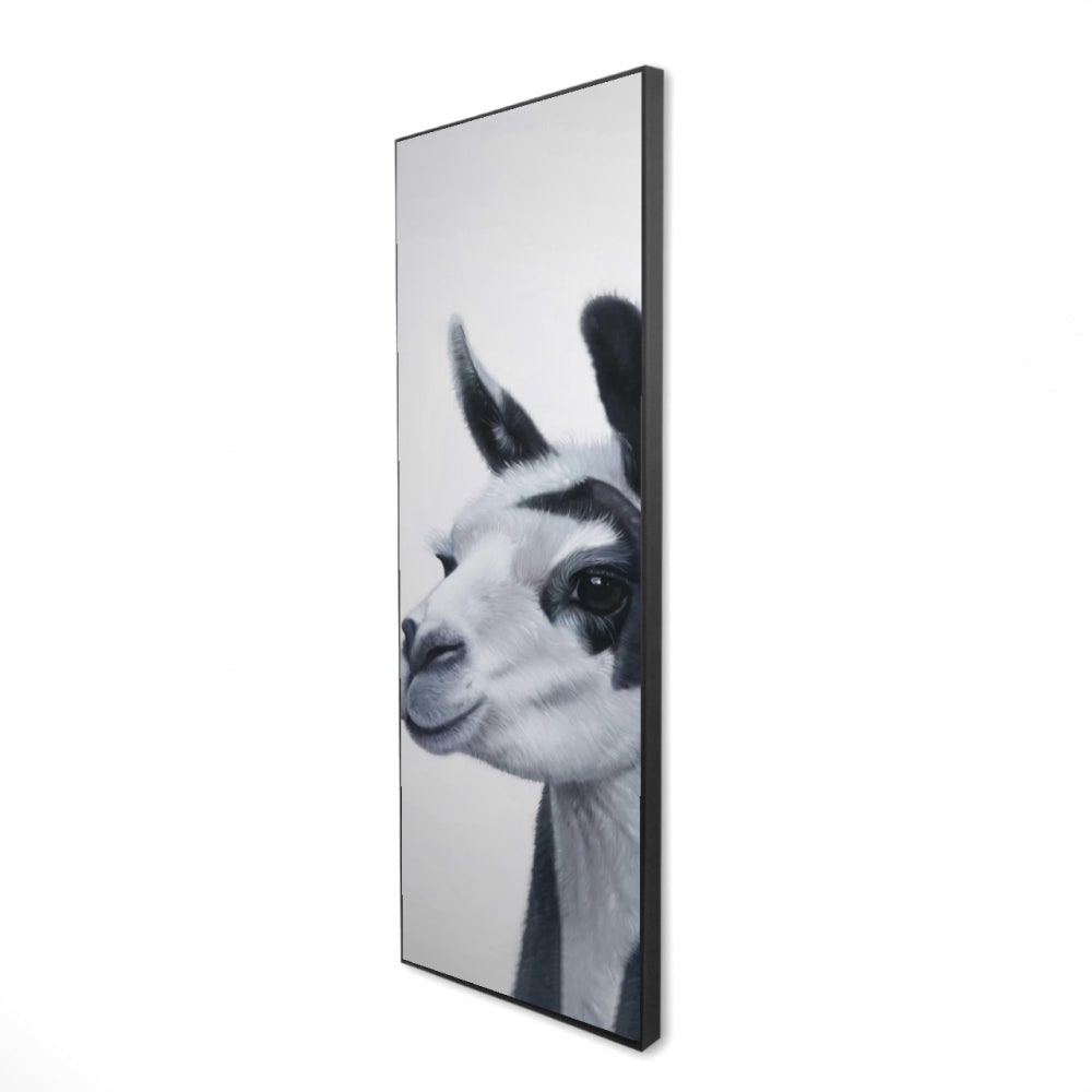 16"x48"