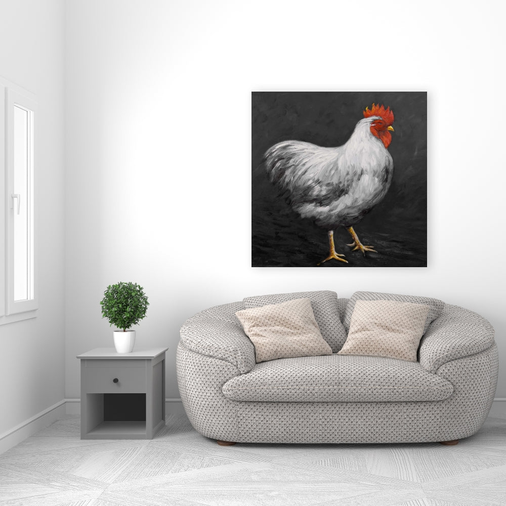 Toile Coq gris - Décoration murale animaux de la ferme blancs