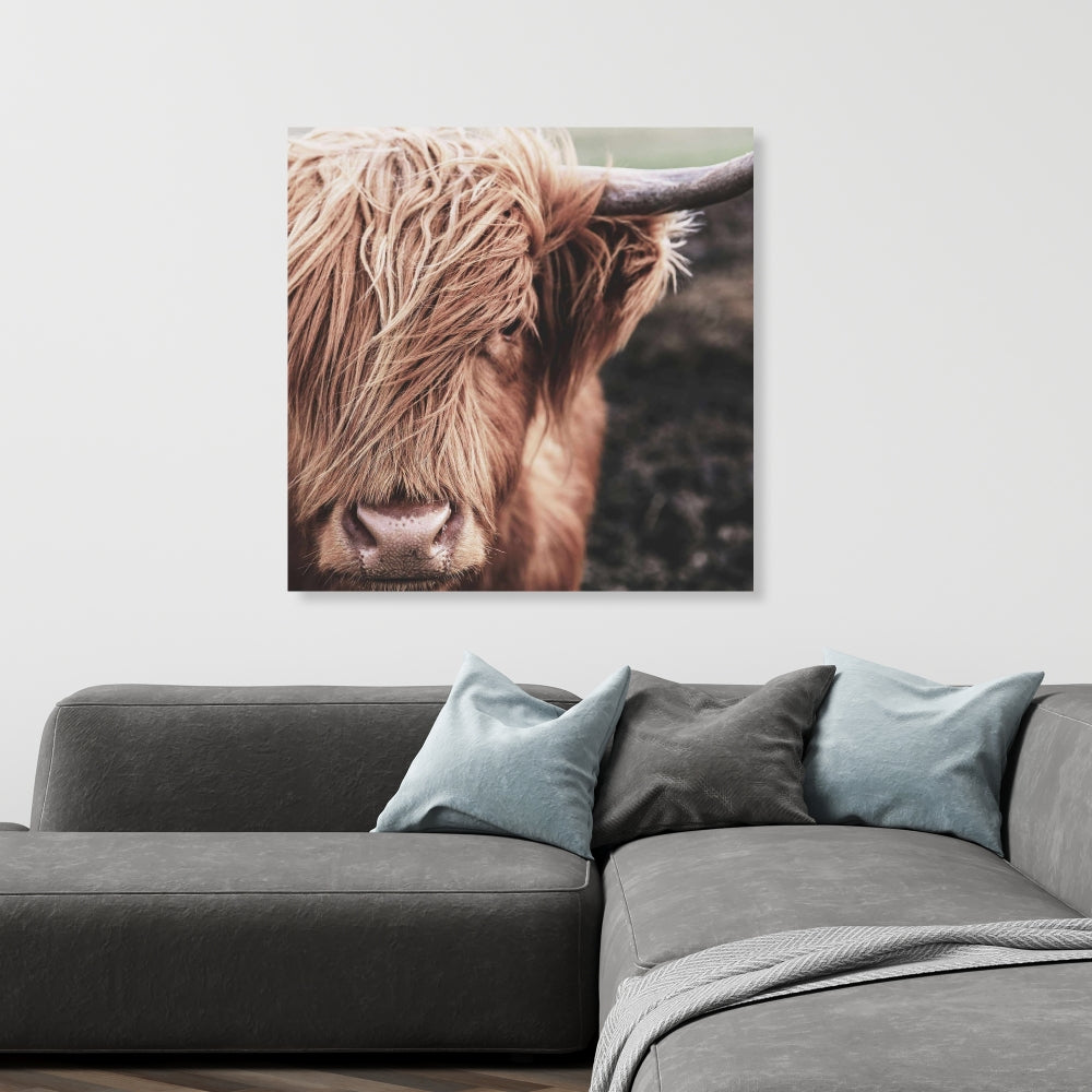 Desaturated Highland Cow Canvas - Brown Farm Animal Decor