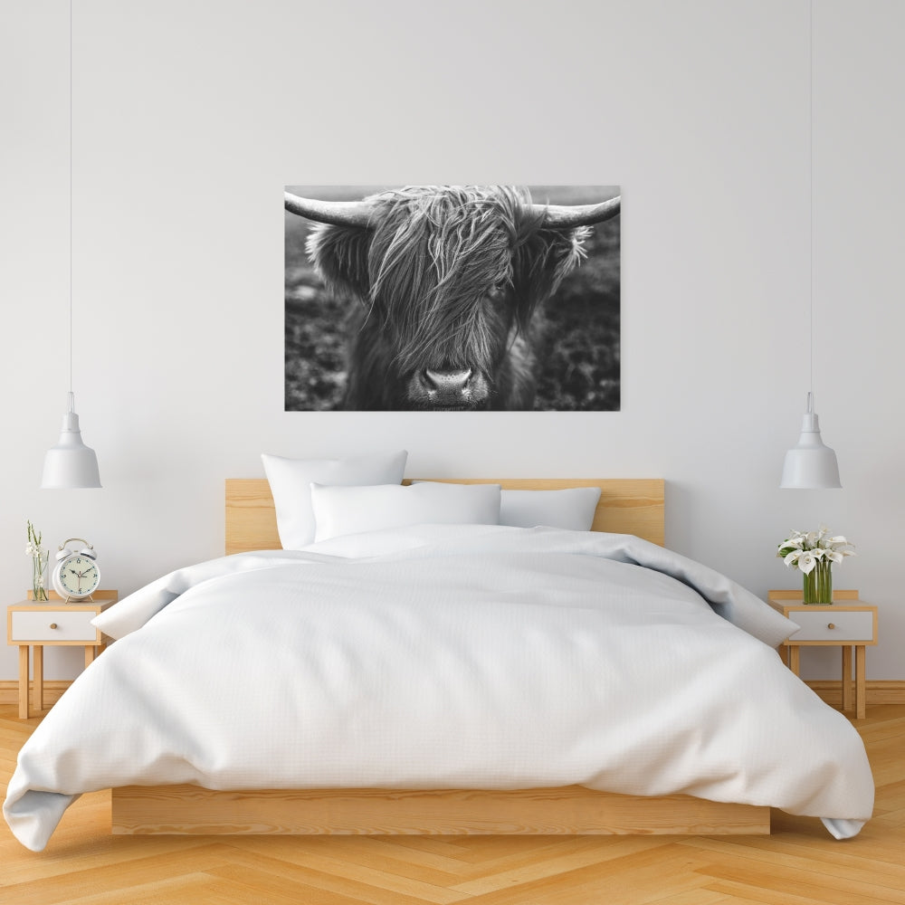 Monochrome Highland Cow Canvas | White Living Room Decor